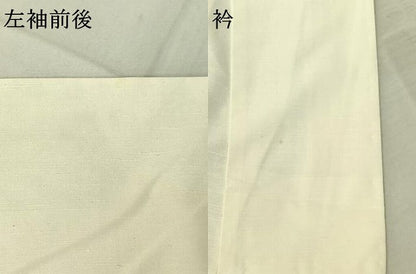 平和屋着物▽訪問着 単衣 作家物 紬地 手描き 風景文 金彩 正絹 逸品 AABF2529jh
