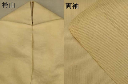 平和屋着物＊夏物 訪問着 絽 手描き 白鷺 金彩 正絹 逸品 AABF2771jd