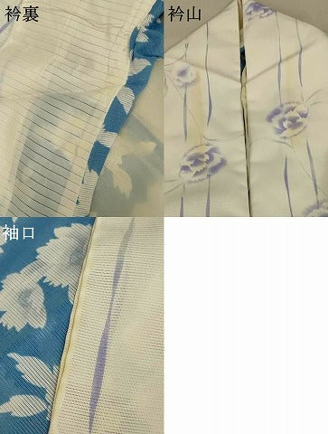 平和屋着物＊夏物 小紋 絽 草花間道 洗える着物 AABF2777jd