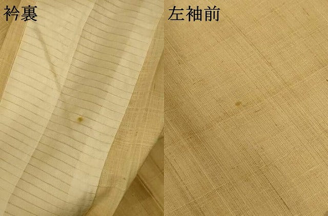 平和屋着物＊夏物 訪問着 生紬 草花文 正絹 逸品 AABF2809jd