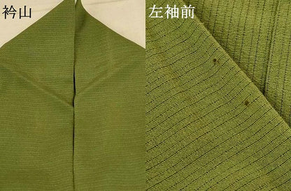 平和屋着物＊夏物 色無地 絽縮緬 海松色 正絹 逸品 AABF2817jd