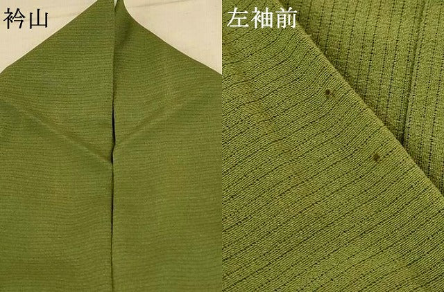 平和屋着物＊夏物 色無地 絽縮緬 海松色 正絹 逸品 AABF2817jd
