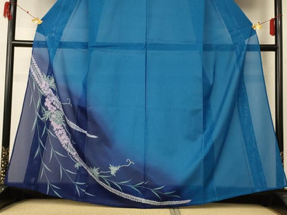 平和屋着物＊夏物 訪問着 絽 藤花房 暈し染め 洗える着物 AABF2833jd