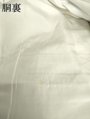 平和屋着物●結城紬 訪問着 100亀甲 遠山風景文 正絹 逸品 AABF2874ck