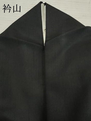 平和屋着物●訪問着 紬地 横段文 黒地 正絹 逸品 AABF2951cs