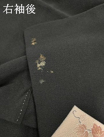 平和屋着物●訪問着 駒刺繍 色紙重ね花文 黒地 金彩 鬼しぼ縮緬 正絹 逸品 AABF2954cs
