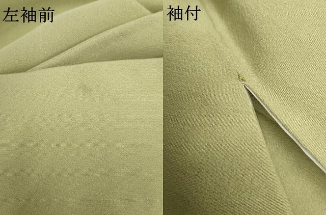 平和屋着物●訪問着 友禅 枝花文 正絹 逸品 AABF2956cs
