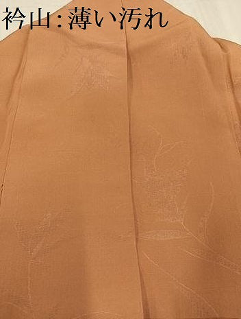 平和屋着物■上質な色無地 草花地紋 江戸茶色 お召縮緬 正絹 逸品 AABF3067ph