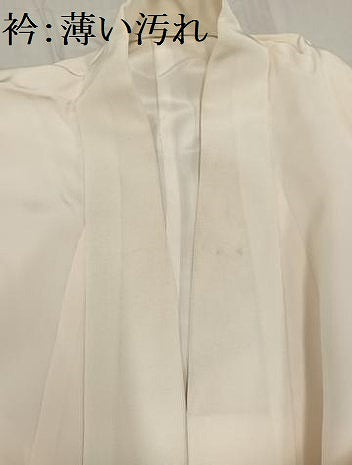 平和屋着物■長襦袢　無双仕立て　枝花文　暈し染め　正絹　逸品　AABF3098ph