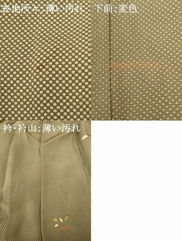 平和屋着物■上質な小紋 南天文 暈し染め 金銀彩 正絹 逸品 AABF3131fw