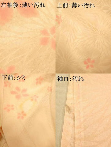 平和屋着物■長襦袢 袷 舞花文 暈し染め 正絹 逸品 AABF3137fw