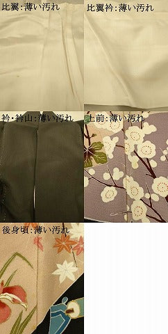 平和屋着物■豪華黒留袖　花鳥宝尽くし文　金彩　正絹　逸品　AABF3200fw