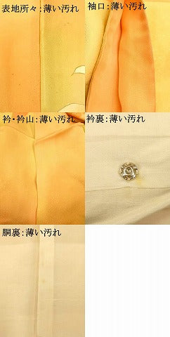 平和屋着物■訪問着 駒刺繍 枝花文 暈し染め 金彩 正絹 逸品 AABF3203fw