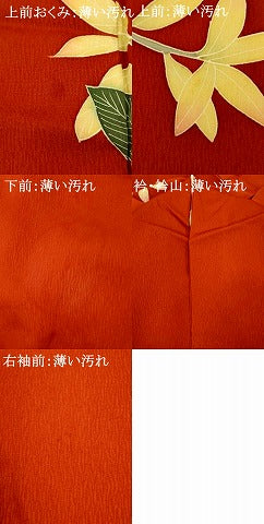 平和屋着物■訪問着 枝花文 金彩 正絹 逸品 AABF3235fw