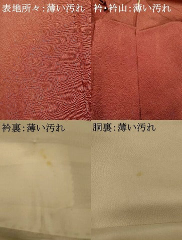 平和屋着物■江戸小紋 鮫小紋柄 正絹 逸品 AABF3286fw
