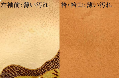 平和屋着物■訪問着 更紗花道長文 暈し染め 金彩 正絹 逸品 AABF3299fw