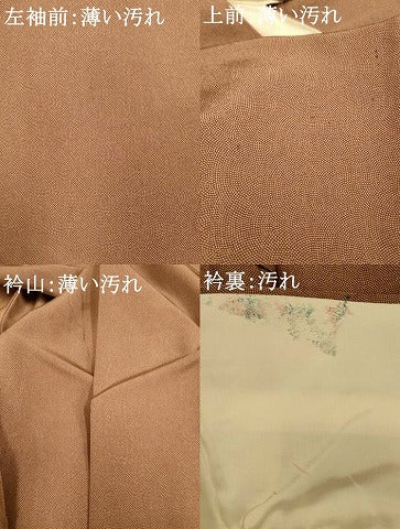 平和屋着物■江戸小紋 鮫小紋柄 正絹 逸品 AABF3306fw
