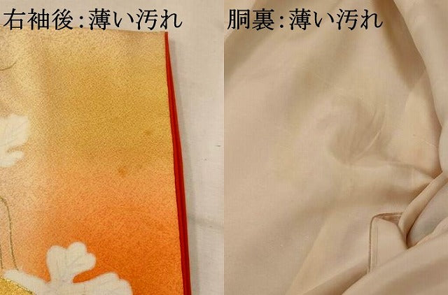平和屋着物■訪問着 駒刺繍 文箱 葡萄 暈し染め 金彩 正絹 逸品 AABF3389st
