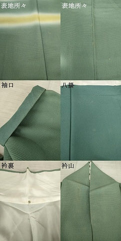 平和屋着物●訪問着 霞文 暈し染め 伊勢丹扱い 正絹 逸品 AABF3587ck