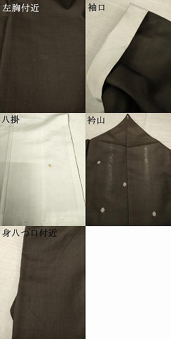 平和屋着物●本場大島紬 経緯絣 泥染め 地空き 丸文 飛び柄 関絹織物謹製 証紙付き 正絹 逸品 AABF3602ck