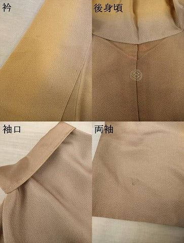 平和屋着物●上質な小紋 間道 暈し染め 正絹 逸品 AABF3625ck