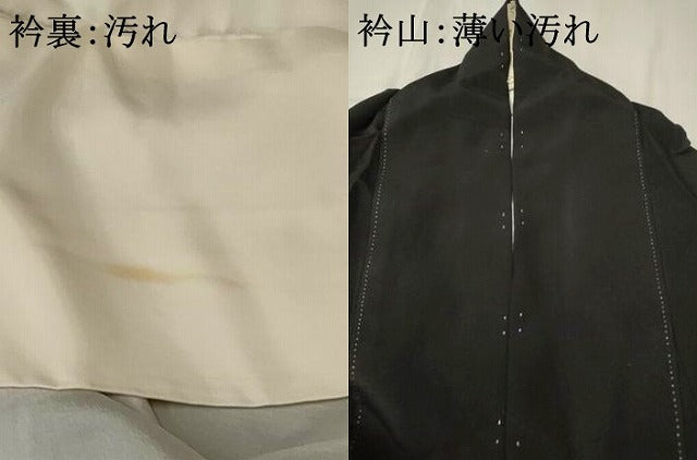 平和屋着物■豪華黒留袖 流水遠山松文 暈し染め 金彩 正絹 逸品 AABF3641st