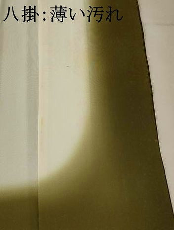 平和屋着物■訪問着 笠松花文 暈し染め 金銀彩 正絹 逸品 AABF3676st
