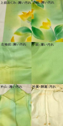 平和屋着物■訪問着 草花文 暈し染め 正絹 逸品 AABF3684st