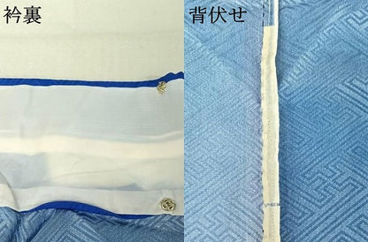 平和屋着物▽訪問着 単衣 笹の葉文 暈し染め 洗える着物 AABF3771jh