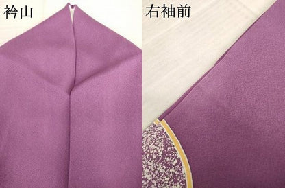 平和屋着物●豪華振袖 雪輪重ね花文 金彩 正絹 逸品 AABF3936ck
