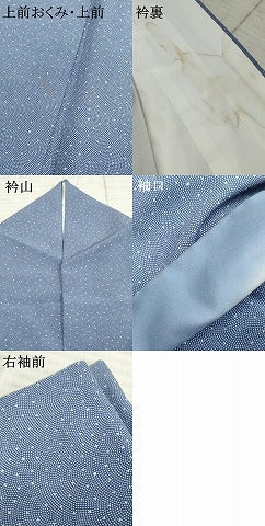 平和屋着物●洗える最高級着物 ＜英＞はなぶさ謹製 江戸小紋 鮫小紋柄 AABF4208cs