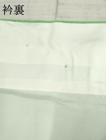 平和屋着物●上質な色無地 枝花地紋 薄緑色 正絹 逸品 AABF4234cs