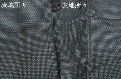 平和屋着物●男性 本場大島紬 100亀甲 総詰め 正絹 逸品 AABF4246cs
