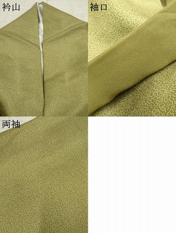 平和屋着物●江戸小紋 吉祥文 さが美扱い 正絹 逸品 AABF4282cs