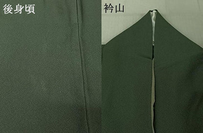 平和屋着物▽訪問着 単衣 作家物 人物芝文 鬼しぼ縮緬 正絹 逸品 AABF5001jh