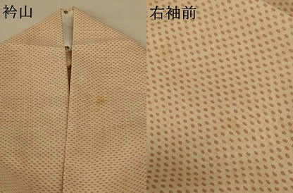 平和屋着物＊夏物 洗える最高級着物 ＜英＞はなぶさ謹製 小紋 紗 丸文 AABF5069jd