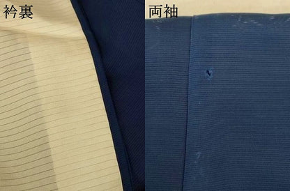 平和屋着物＊夏物 訪問着 絽 枝葉文 正絹 逸品 AABF5083jd