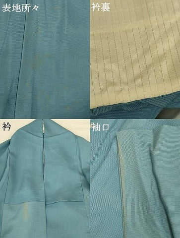 平和屋着物＊夏物 訪問着 絽 手描き 草花文 暈し染め 正絹 逸品 AABF5088jd