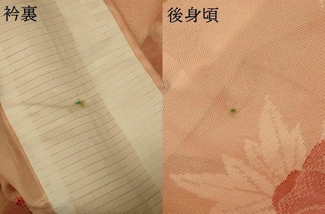 平和屋着物＊夏物　小紋　紗　草花文　正絹　逸品　AABF5094jd