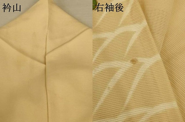 平和屋着物＊夏物 訪問着 絽 萩文 金彩 正絹 逸品 AABF5098jd