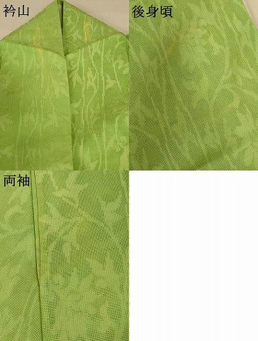 平和屋着物＊夏物 色無地 花唐草紋紗 苗色 正絹 逸品 AABF5106jd
