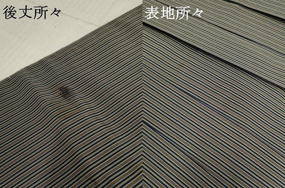 平和屋着物●男性　人間国宝　甲田綏郎　精好仙台平　馬乗り袴　縞　正絹　逸品　AABF5147cs
