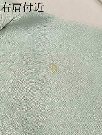 平和屋着物●上質な色無地 花唐草地紋 蕎麦切色 正絹 逸品 未使用 AABF5327ph