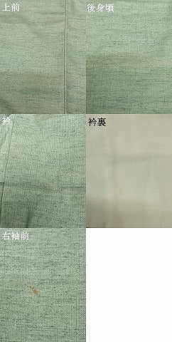 平和屋着物●訪問着 紬地 雪輪花文 正絹 逸品 AABF5401fy