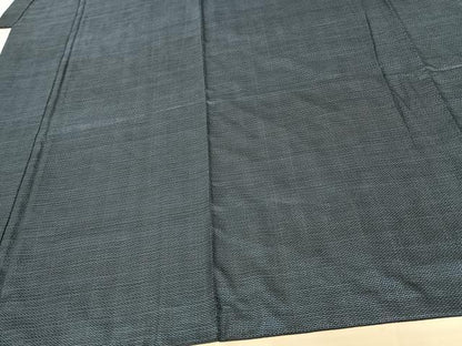 平和屋着物●男性 本場大島紬 100亀甲 総詰め 正絹 逸品 AABF5436fy
