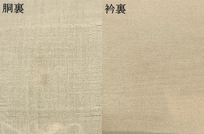 平和屋着物●本場大島紬 龍郷絣 秋名バラ 正絹 逸品 AABF5493fy