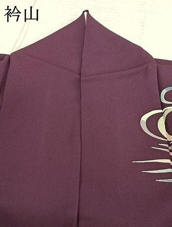 平和屋着物●訪問着　鴛鴦文　ロング丈　正絹　逸品　AABF5540fy