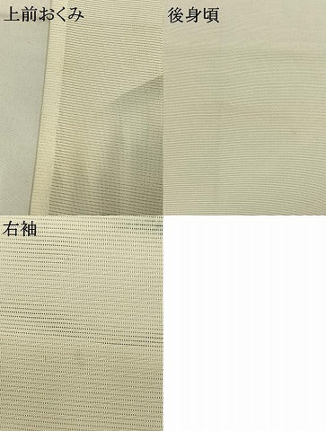 平和屋着物＊夏物　訪問着　絽　手描き　風景文　暈し染め　正絹　逸品　AABF5679fy