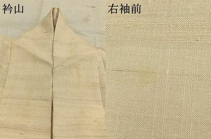 平和屋着物＊夏物　訪問着　生紬　手描き　魚　エンゼルフィッシュ　正絹　逸品　AABF5680fy