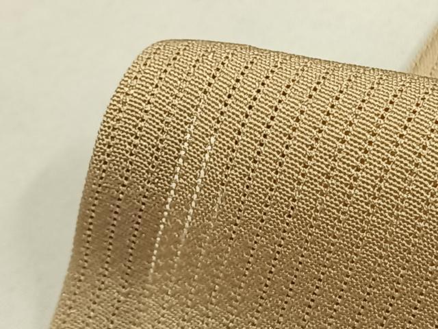 平和屋着物＊夏物 色無地 縦絽 作家物 草木染 村井染匠 五泉 浅黄色 反端付き 正絹 逸品 AABF5681fy